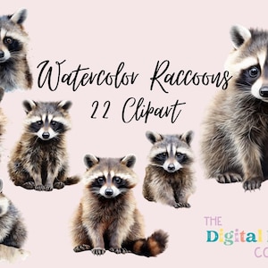 Watercolor Raccoon Clipart PNG Bundle Woodland Animals, Watercolor Forest Animals PNG, Forest Baby Animals, Nursery Clipart, Woodland Babies