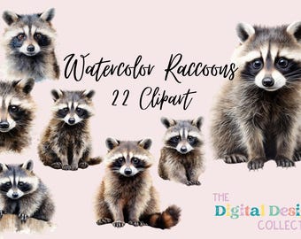 Watercolor Raccoon Clipart PNG Bundle Woodland Animals, Watercolor Forest Animals PNG, Forest Baby Animals, Nursery Clipart, Woodland Babies