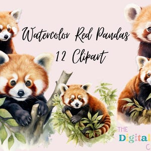 Lindo paquete de imágenes prediseñadas de panda rojo en acuarela, animales lindos, imágenes prediseñadas de panda bebé, imágenes prediseñadas lindas, imágenes prediseñadas de animales