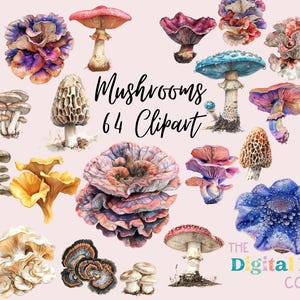 May include: A collection of 64 watercolour mushroom illustrations in various colours and styles. The mushrooms are depicted in a realistic style with intricate details. The text "Mushrooms 64 Clipart" is displayed in the centre of the image.