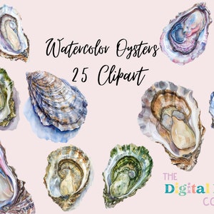 Watercolor Oyster Clipart Bundle - Etsy