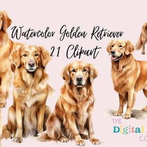Aquarela Golden Retriever Clipart Download instantâneo Materiais de artesanato, papel digital para impressão PNG