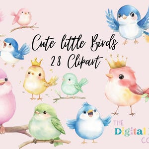 Aquarell Frühling kleine Vögel Clipart, Song Vogel Aquarell Clipart, Vogel Grafiken PNG, Bluejay und Kardinal Clipart, POD Clipart