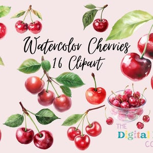 Watercolor cherry clipart, Cherry berries, Cherry blossom, Cherry branch, Watercolor fruit clipart, Cherry, instant download, PNG