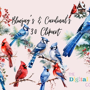 Bluejay & Cardinal Birds Watercolor PNG, Song Bird Watercolor Clipart, Bird Graphics PNG, Bluejay and Cardinal Clipart, POD Clipart