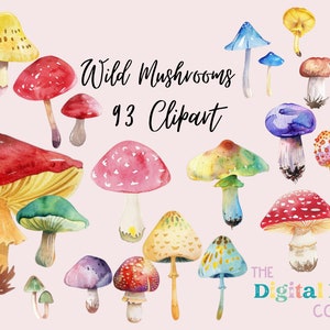 Pacote de clipart de cogumelos selvagens