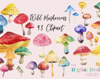Wild Mushrooms Clipart Bundle