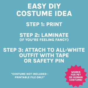 easy DIY costume idea