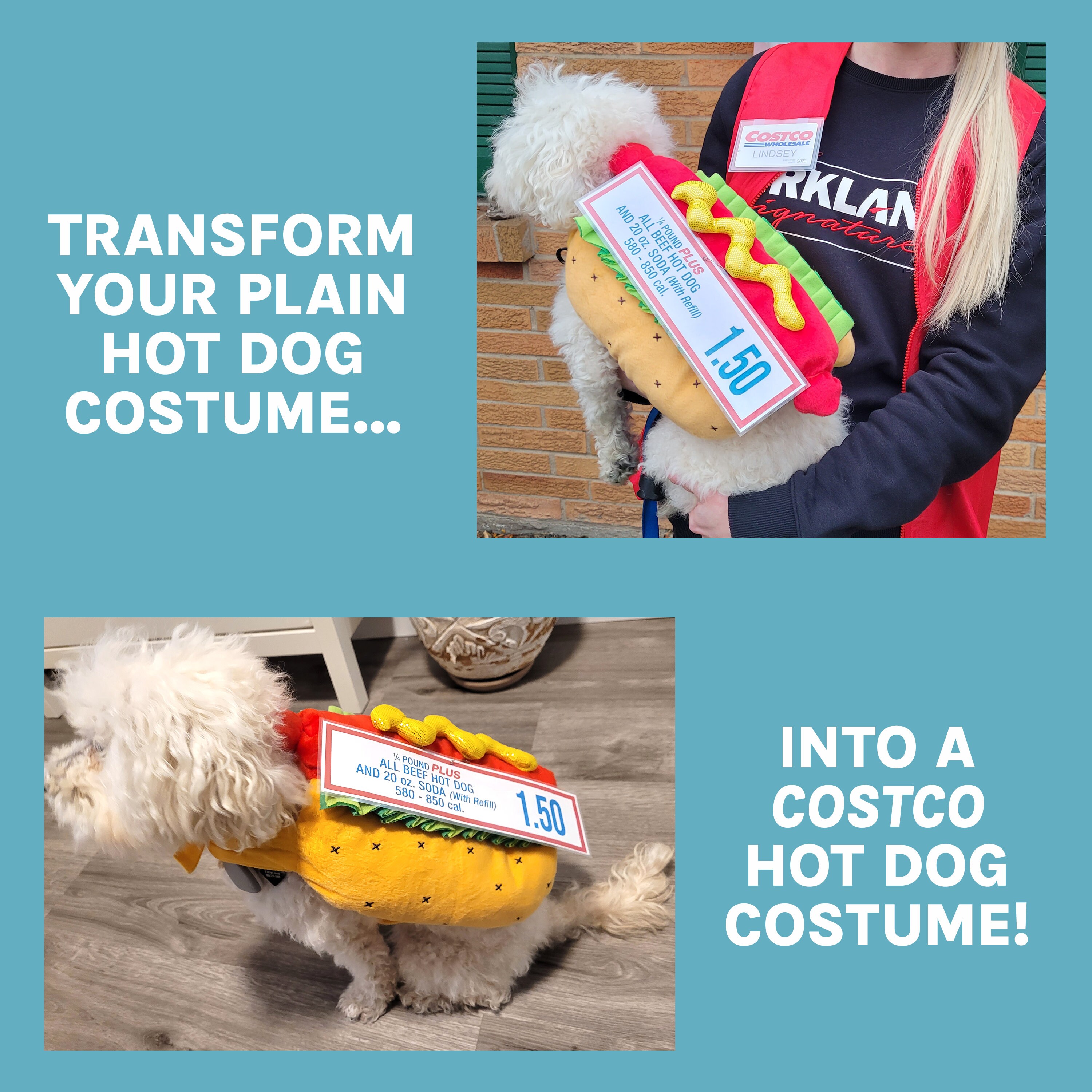 Costco Hot Dog Printable Sign for DIY Halloween Costume, Printable Sign ...