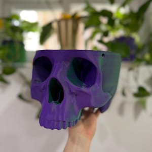 May include: A purple and green skull-shaped planter. The skull is made of plastic and has a smooth, glossy finish.