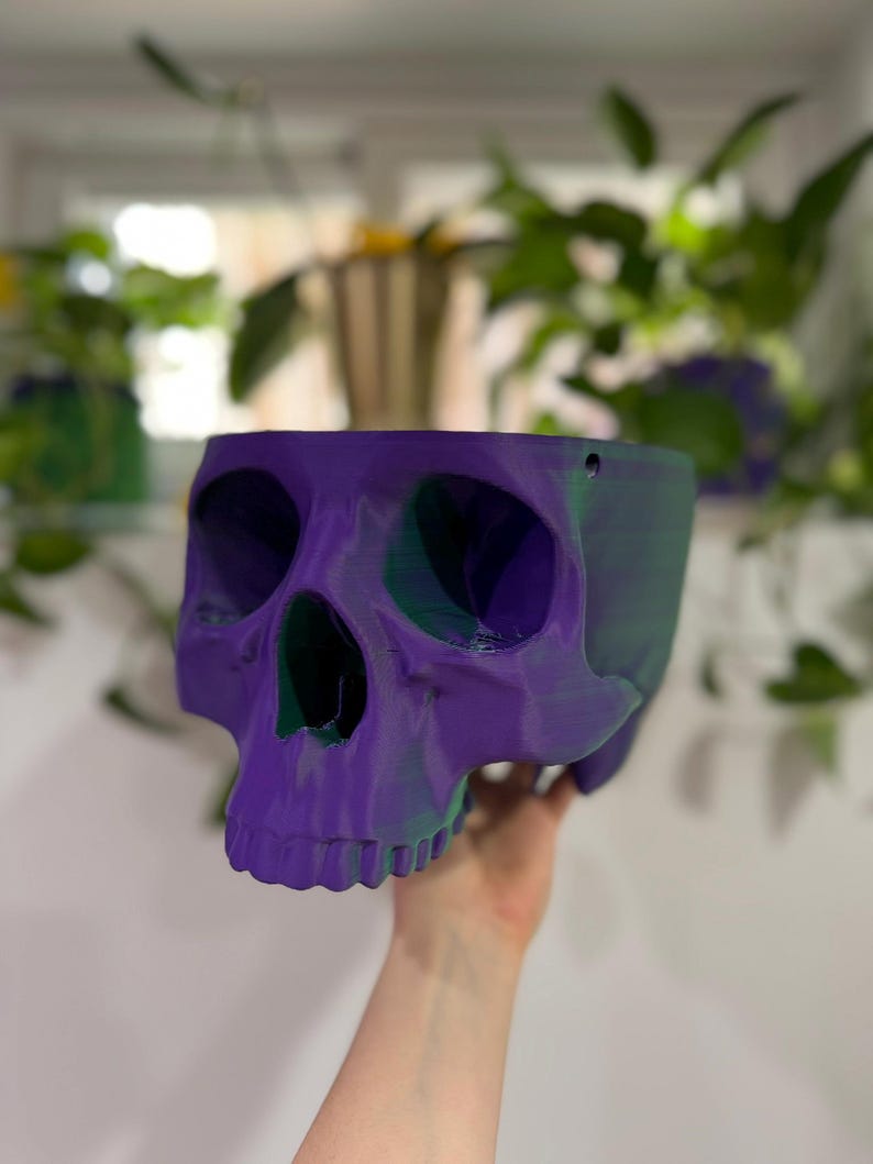 May include: A purple and green skull-shaped planter. The skull is made of plastic and has a smooth, glossy finish.