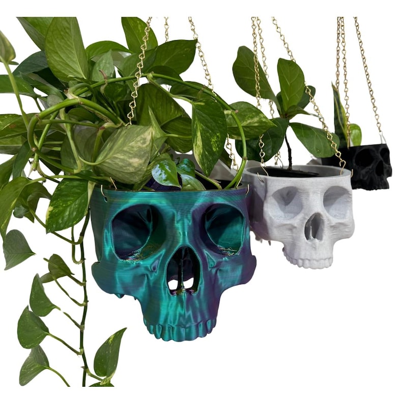 May include: Three hanging skull planters, one is a teal iridescent color, one is white, and one is black. The planters are filled with green plants and hanging from gold chains.