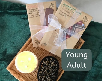 Blind Date With a Book with Free Bookmark | Young Adult Genre | Surprise Book | Mystery Book | Wrapped Gifts | Perfect Gift for Book Lovers