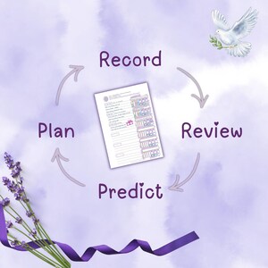 May include: A watercolour illustration with a lavender theme. The image features a central document surrounded by arrows labelled "Plan," "Record," "Review," and "Predict." A dove with an olive branch and lavender sprigs and ribbon complete the design.