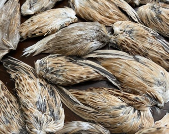 Colorful Dried Quail Wings