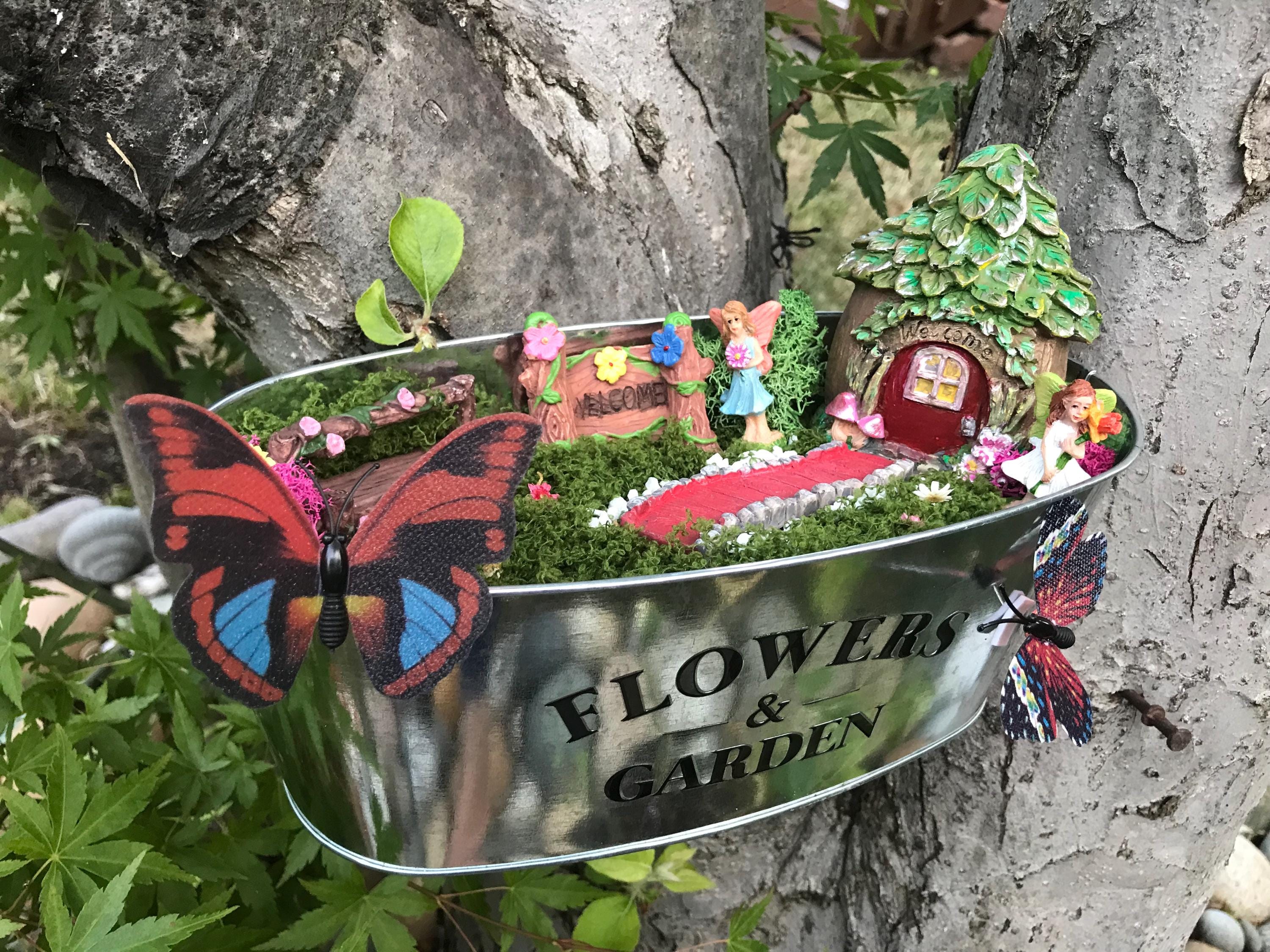 DIY mini fairy garden kit.
