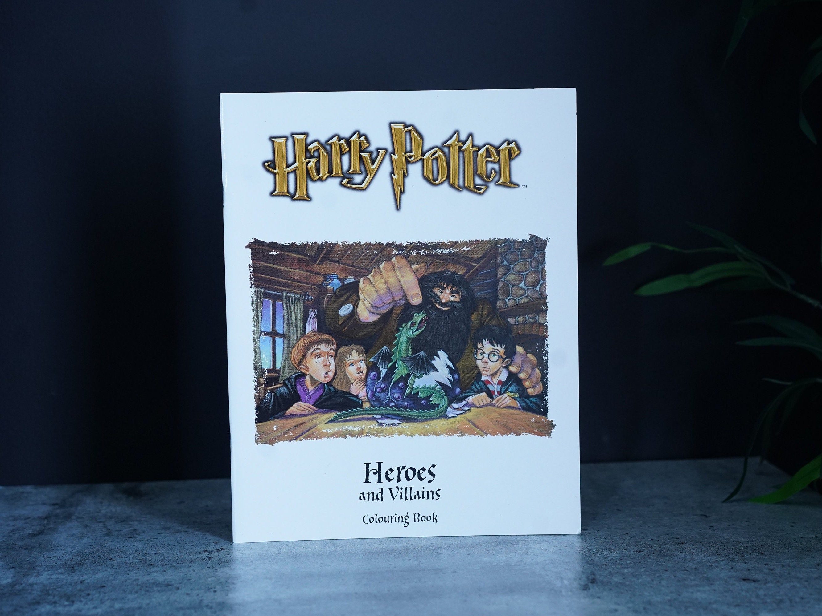 Hermione and the Polyjuice Potion, Harry Potter Coloring Book : r/Coloring