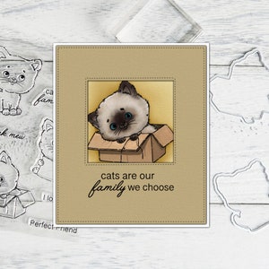 Cute Pet Cats Little Kitty Clear Stamp And Cutting Dies For Cards