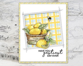 Paniers de citrons et d'abeilles mignonnes, série printemps, timbres clairs et matrices de découpe pour bricolage, cartes de Scrapbooking, artisanat d'albums