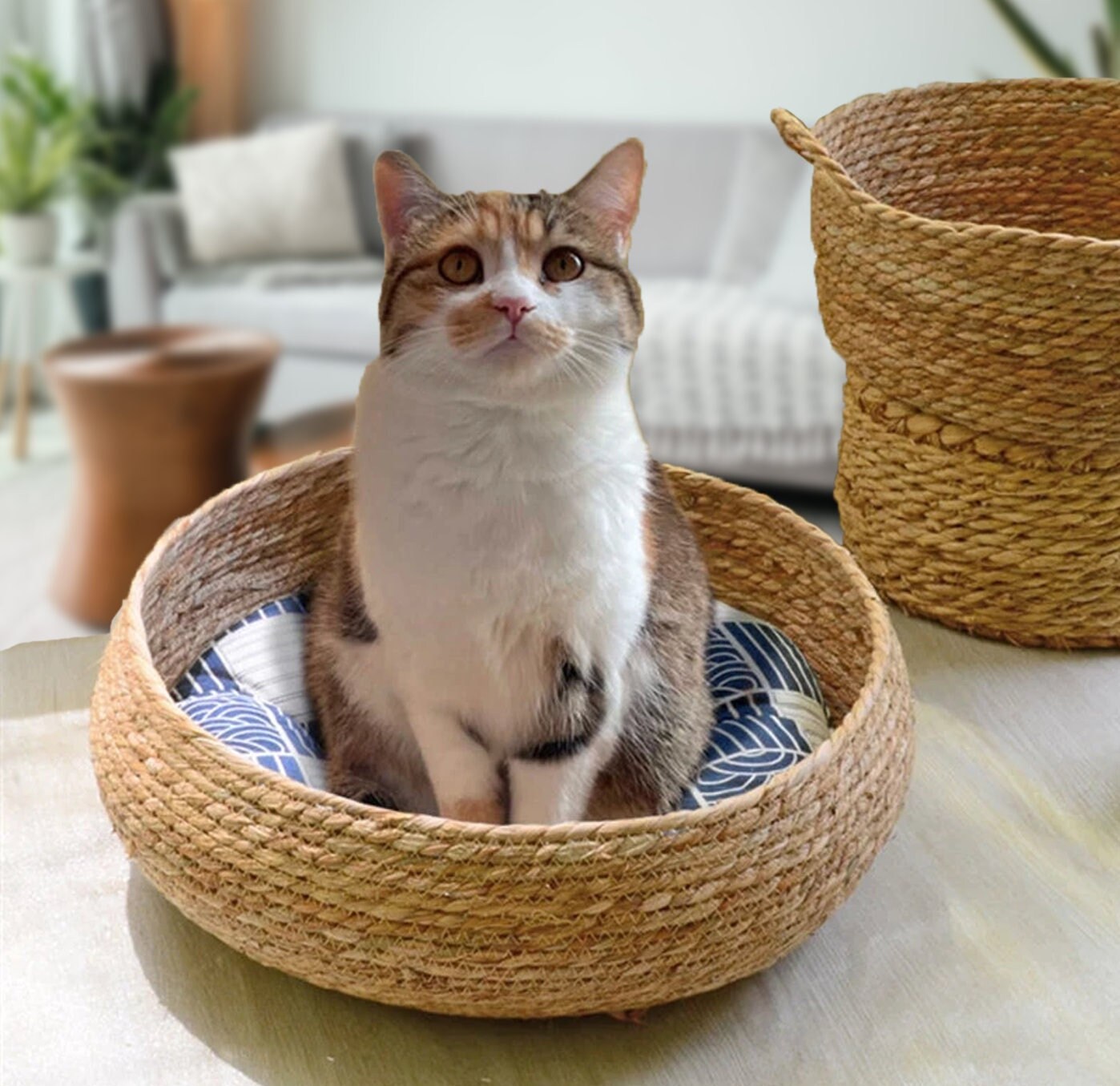 elevated wicker cat bed