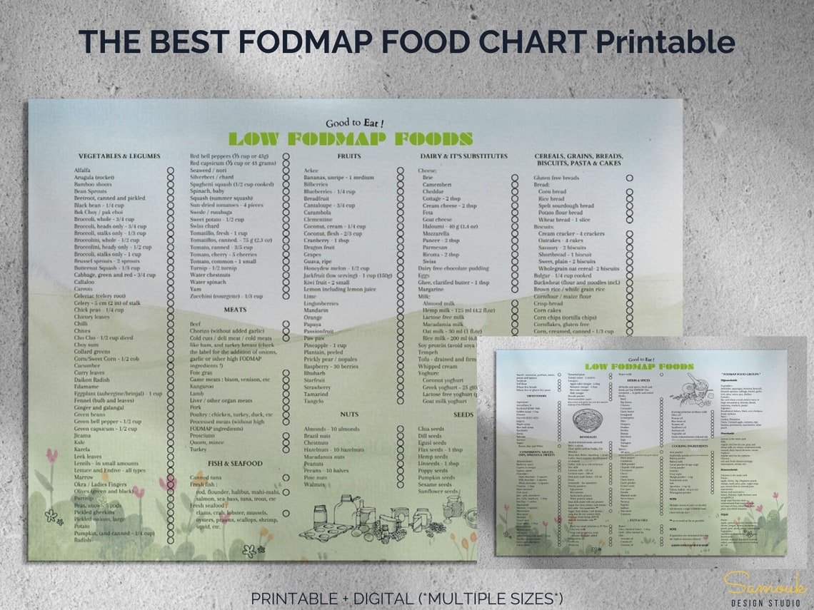 FODMAP Grocery List Printable, Low and High Fodmap Foods, Complete ...