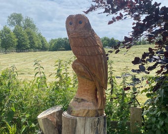 May include: A wooden owl sculpture carved in detail, perched on a tree stump. The owl has large, round eyes and a brown and white patterned body. The sculpture is set against a backdrop of a green field and a blue sky with white clouds.