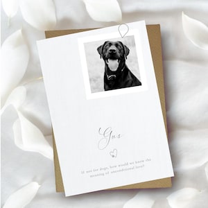 Carte perte d'animal de compagnie, carte perte de chien, sympathie pour chien, carte de sympathie, carte perte de chien, carte deuil de chien, deuil d'animal de compagnie