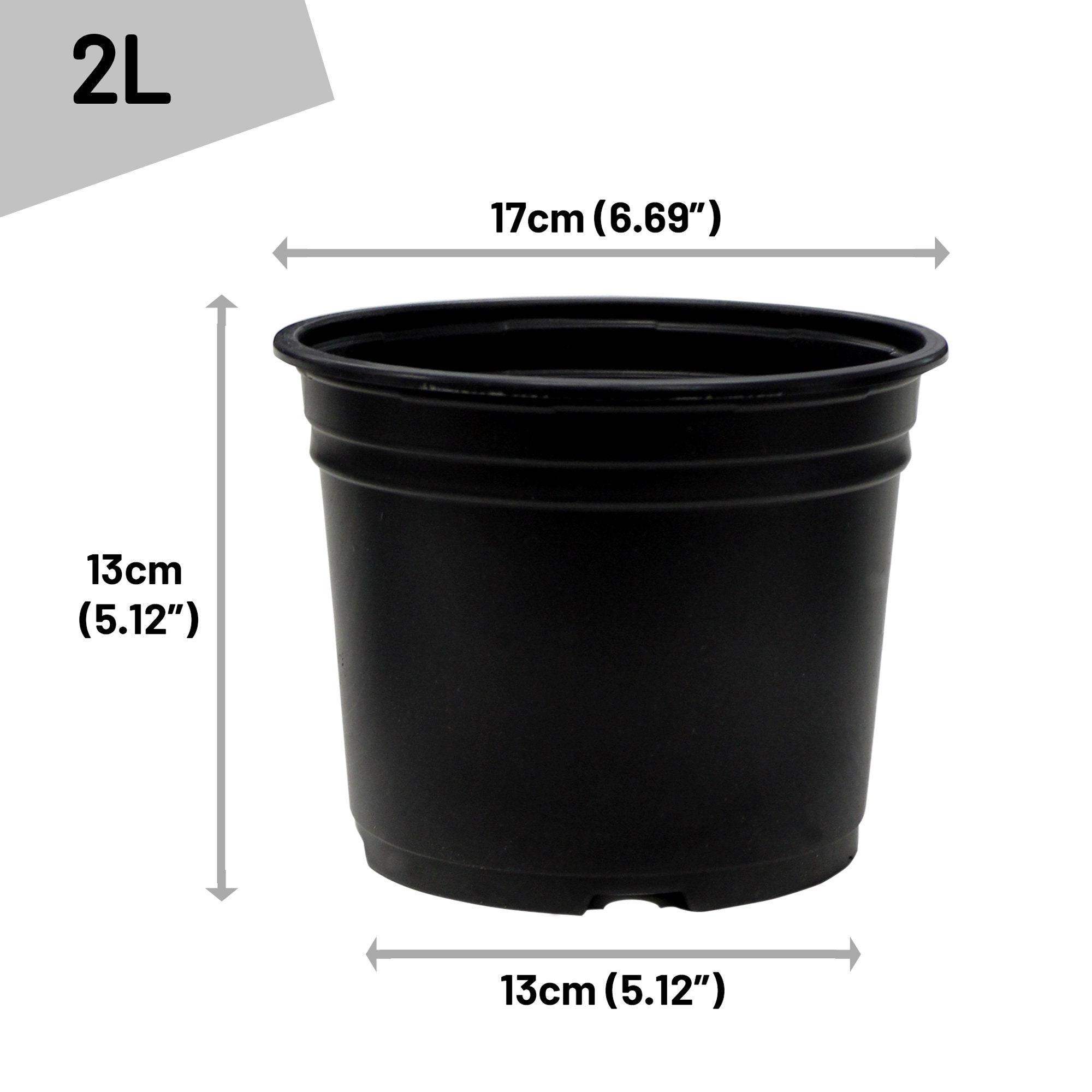 tiny air plants Tiny Pots and Tiny Air Plants Pack – Jungle Club main image 1