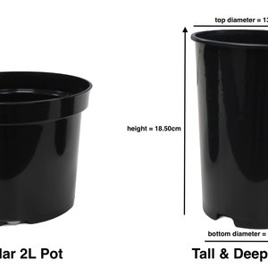 May include: Two black plastic plant pots, one regular and one tall and deep. The regular pot is 2 litres and the tall and deep pot is 2 litres. The tall and deep pot is 18.50 cm tall, 13.90 cm in diameter at the top, and 12.20 cm in diameter at the bottom.