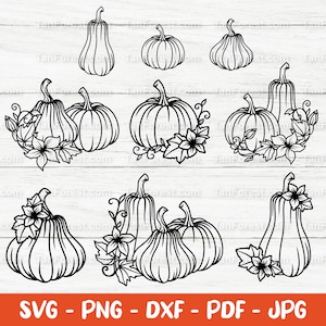 Pompoen SVG overzicht gesneden bestand. Pompoenen SVG, pompoen bloem SVG, pompoen patch SVG, pompoen clipart, Thanksgiving SVG, herfst SVG, PNG, DXF.