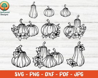 Pumpkin SVG outline cut file. Pumpkins svg, Pumpkin flower svg, Pumpkin patch svg, Pumpkin Clipart, Thanksgiving svg, Autumn svg, png, dxf.