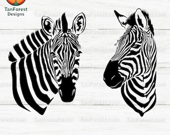 Zebra SVG Design | Safari Animal Clipart (Digital Download)