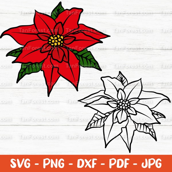 Poinsettia SVG layered and outline hand drawn, Christmas flower svg, December flower, Red winter flower, Cut Files for Cricut and Silhouette