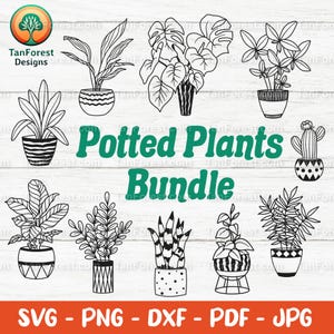 Paquete SVG de plantas de interior, clipart de plantas en maceta, suculentas en maceta, ilustraciones vectoriales dibujadas a mano, para amantes de las plantas. Archivos de corte para Cricut y Silhouette.