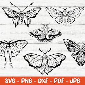 Moth SVG Bundle, Insect svg, Moth Clipart, Celestial moth svg, Boho moth, Night moth svg, Luna moth svg, Cut files for Cricut, Silhouette.