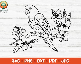 Parrot SVG Outline, Tropical Bird Clipart, Bird on branch with tropical flowers, Parrot tshirt design, Png Dxf Cut files Cricut Silhouette