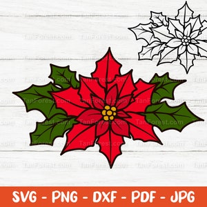 Poinsettia SVG, warstwowe i konturowe, kwiat bożonarodzeniowy svg, kwiat grudniowy, ozdoby świąteczne, pliki do cięcia dla Cricut i Silhouette