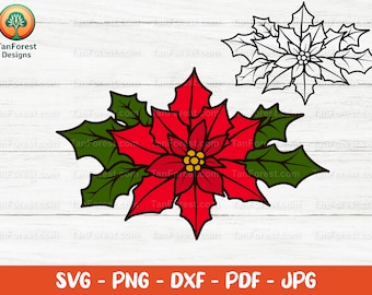 Poinsettia SVG, capas y contorno, flor de Navidad svg, flor de diciembre, adornos navideños, archivos cortados para Cricut y silueta