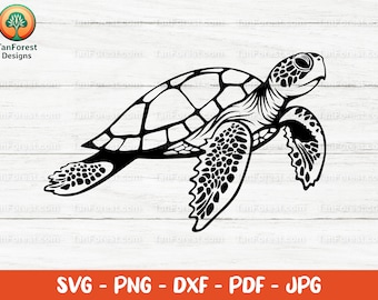 Archivo de corte de contorno SVG de tortuga marina. Tortuga svg, Tortuga svg, Ocean animal svg, Diseño vectorial, SVG, png, archivos dxf para Cricut, Silueta.