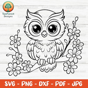 Cue Owl SVG Outline - Cut files for Cricut & Silhouette. Woodland Bird on a Branch Clipart, Floral Owl PNG, Forest Animal Digital Download.