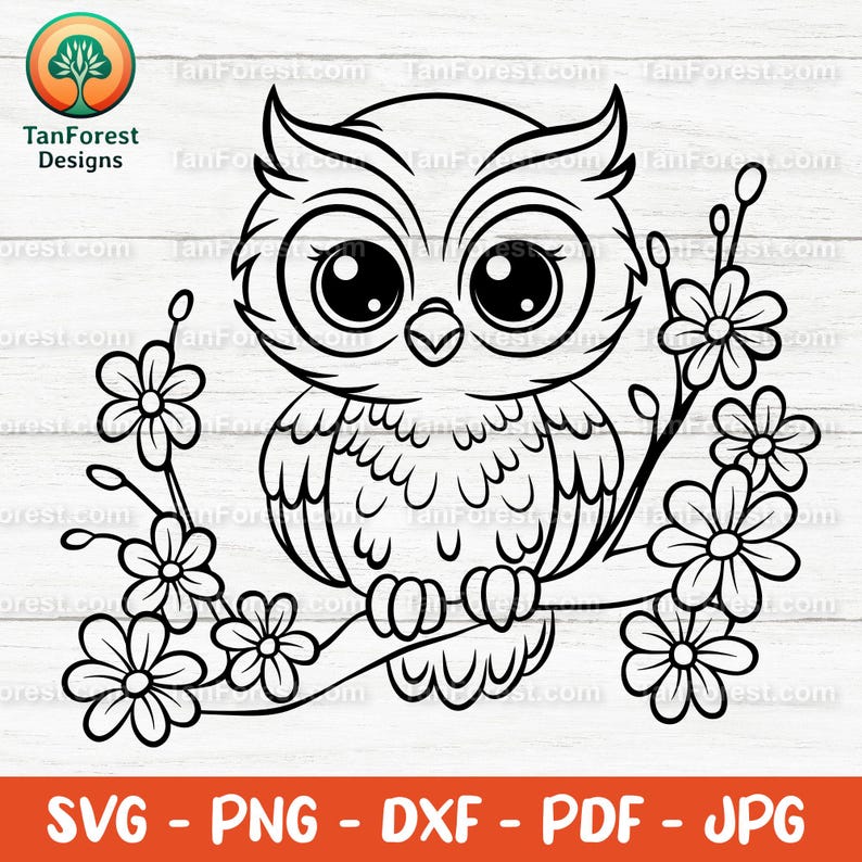 Cue Owl SVG-overzicht: snijbestanden voor de Cricut en Silhouette. Bosvogel op een tak Clipart, Floral Owl PNG, Forest Animal digitale download. afbeelding 1