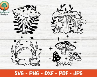 Waldpilz SVG. Pilz Clipart. Steinpilz, Pfifferling, Parasolpilz, Fliegenpilz. Png, Dxf, SVG Schneidedateien für Cricut und Silhouette.