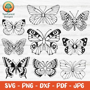 Bundle SVG papillon, contour dessiné à la main. Clipart papillons. Fichiers coupés pour Cricut Silhouette, téléchargement numérique Svg Png Jpg Pdf Dxf.