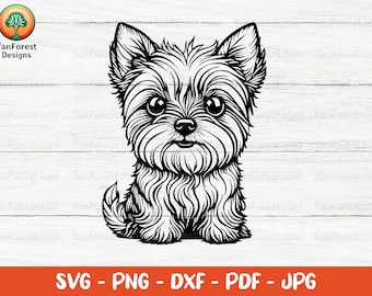 Yorkshire Terrier Svg Outline. Yorkie svg, Cute Yorkie, Kawaii dog, Yorkie Clipart, Yorkie puppy, Terrier dog. Cut files svg, dxf, png.