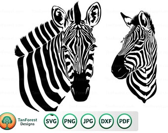 Zebra SVG cut files, Zebra vector set, Zebra clipart, Zebra head, Zebra face, Safari animal. Cut files for Cricut and Silhouette.