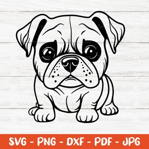 Fichier coupé Svg bouledogue, chiot bouledogue svg, svg bouledogue anglais, svg chiot, animal de compagnie svg, svg pour amoureux des chiens. Race de chien. Fichier de coupe pour Cricut, Silhouette.