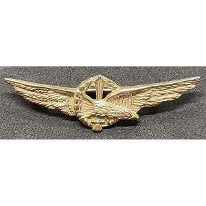 WWII Air force pilot ANR badge