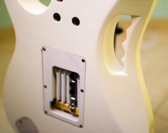 Custom Openback Backplate for Jem and RG Guitars