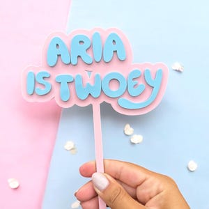 Custom Bluey Inspired Double Layered Acrylic Cake topper, Bluey Cake Topper, Personalised Bluey Cake Topper, Bluey Twoey Cake Topper