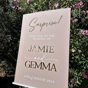 Surprise Wedding Welcome Sign, Acrylic Wedding Welcome Board, Acrylic Event Signage, 3D Perspex Sign, Surprise Proposal, Event Decor